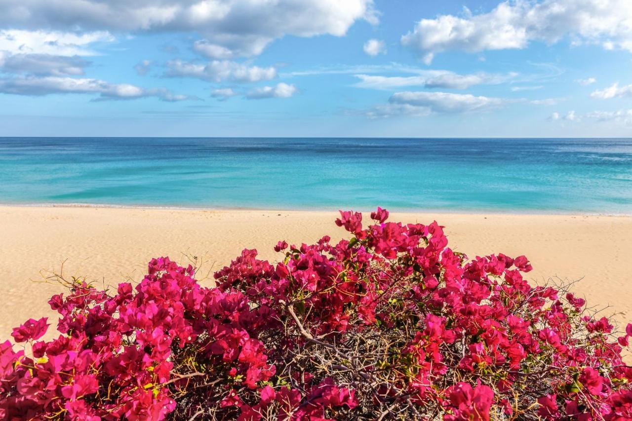 8210 Bungalow Costa Calma Wifi 외부 사진